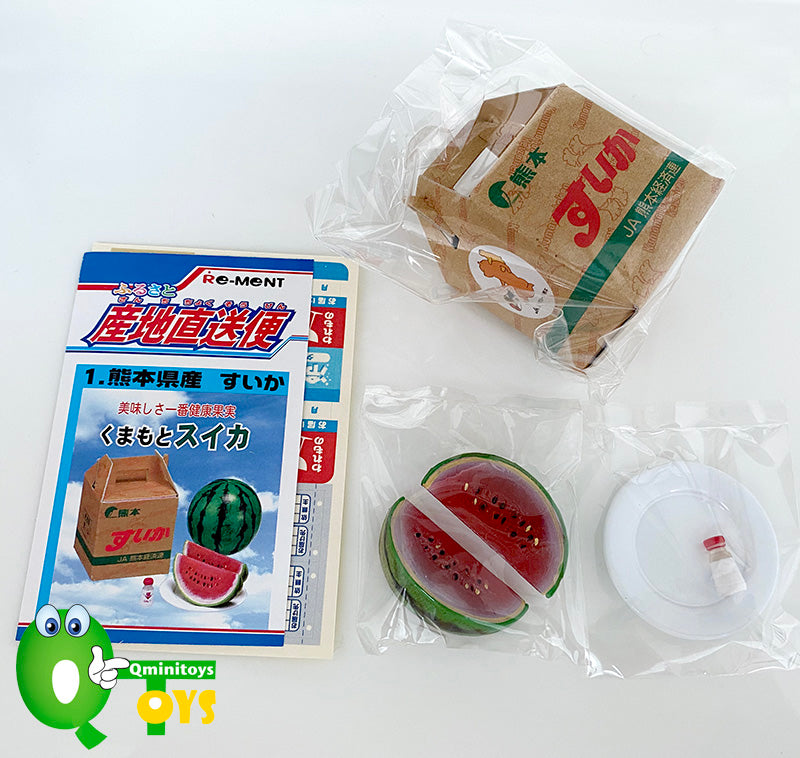 Rare 2003 Re-Ment Hometown Direct Delivery Service Full Set of 12pcs