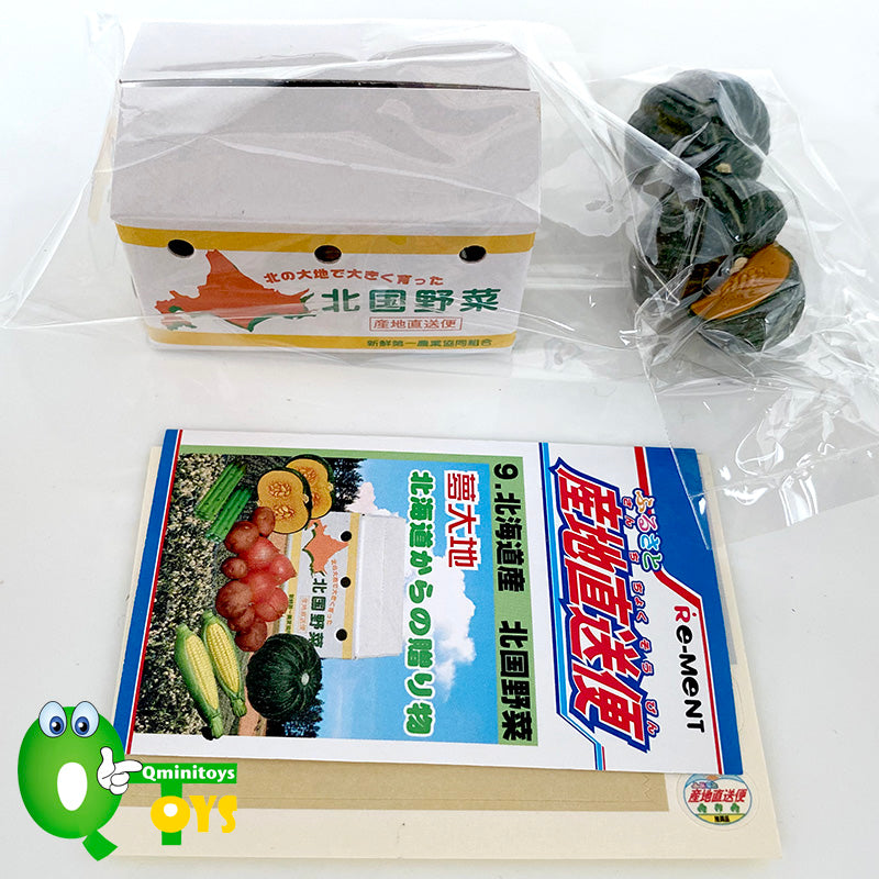 Rare 2003 Re-Ment Hometown Direct Delivery Service Full Set of 12pcs