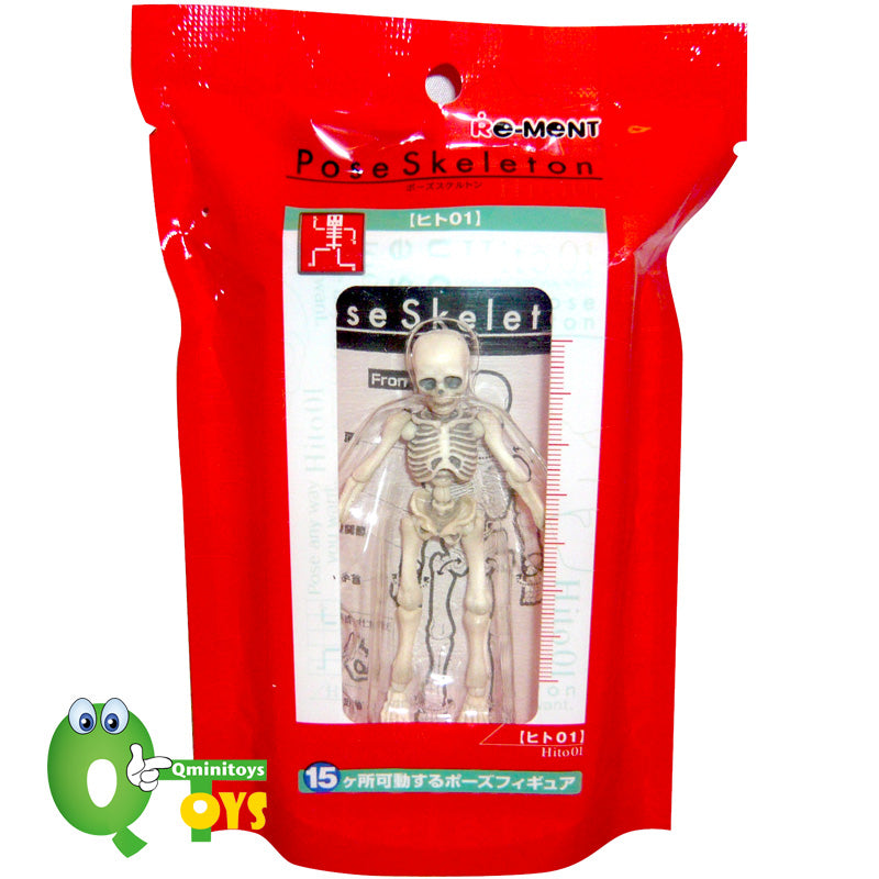 Human skeleton toy stock image. Image of pose, background - 46526363